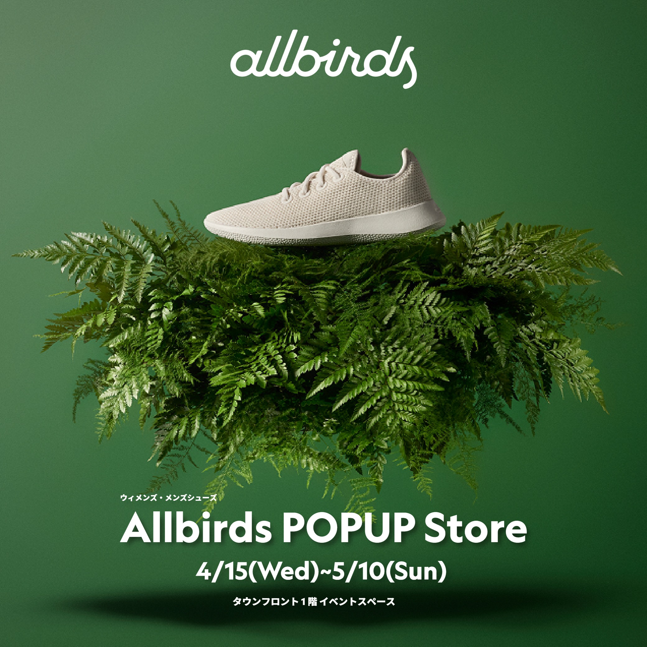 Allbirds（オールバーズ）POPUP