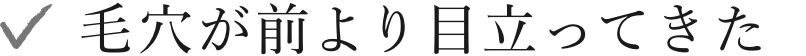 毛穴が前より目立ってきた
